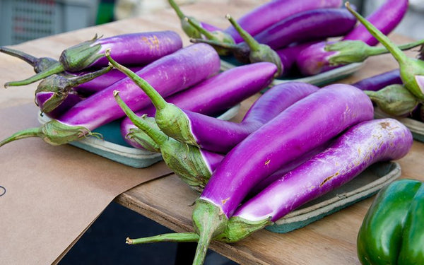 Japanese Eggplant