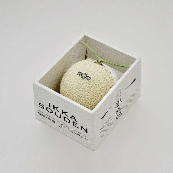 Premium Grade Musk Melon from Japan